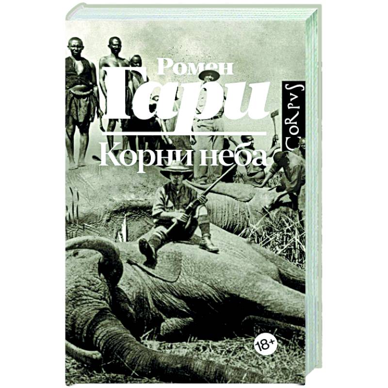 Корни неба Корни неба