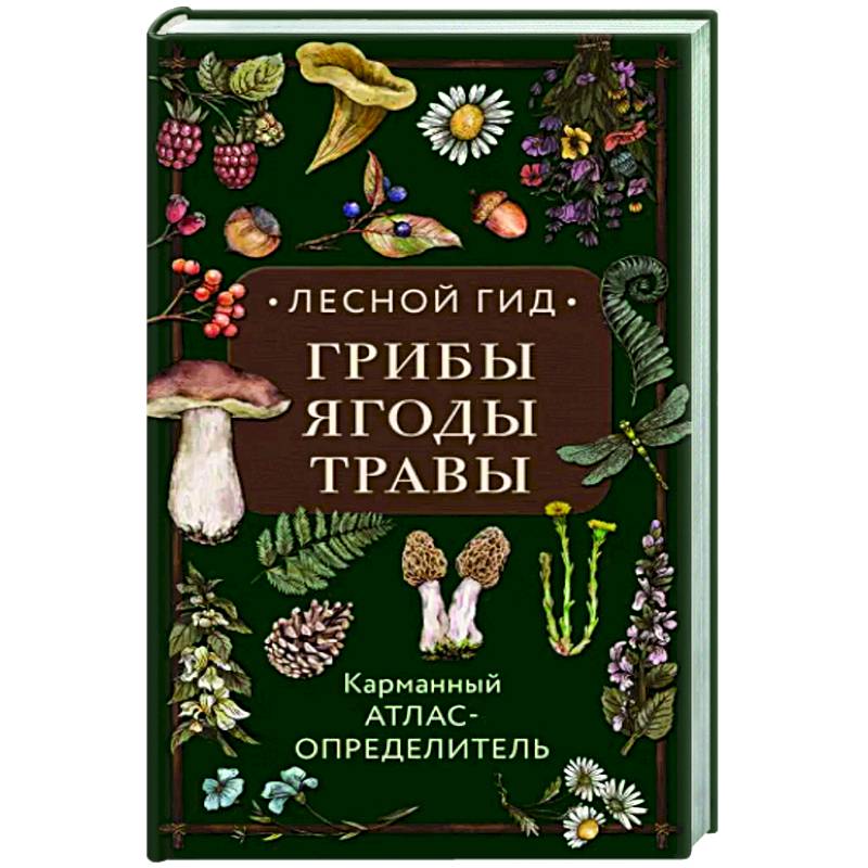 Лесной гид: грибы, ягоды, травы. Карманный атлас-определитель Лесной гид: грибы, ягоды, травы. Карманный атлас-определитель