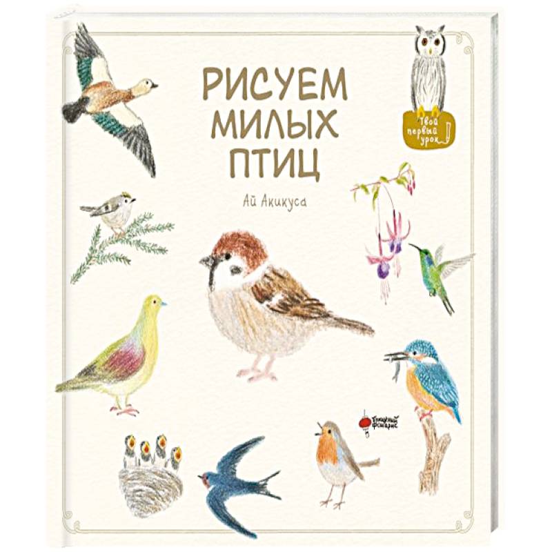 Рисуем милых птиц Рисуем милых птиц