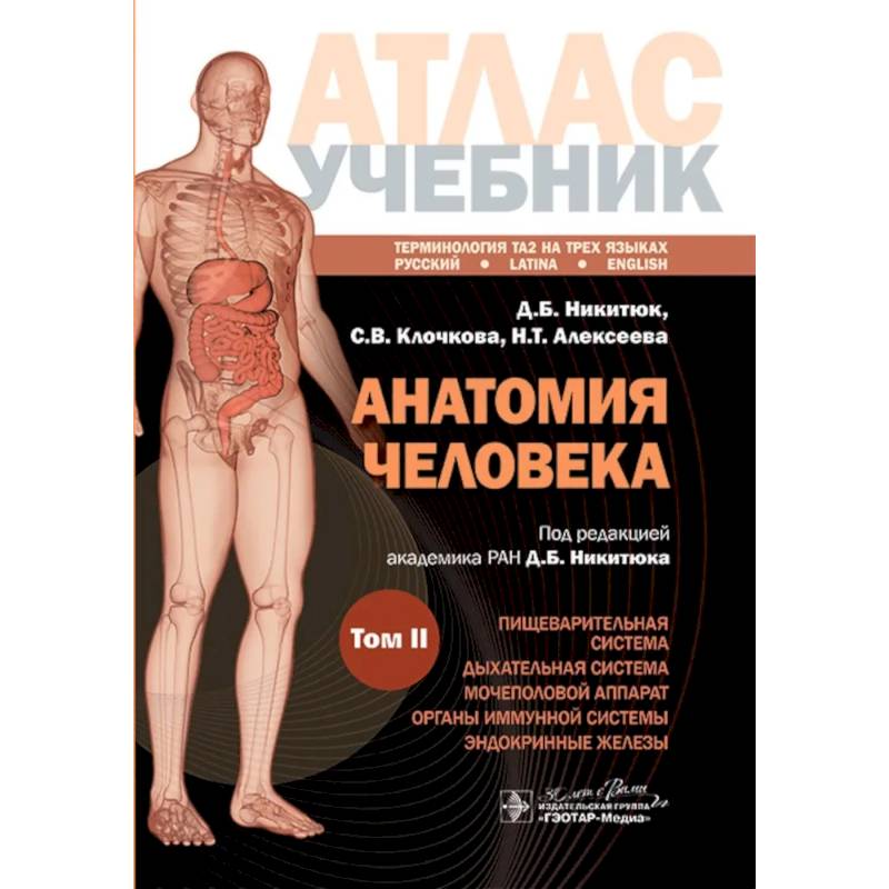 Анатомия человека. Атлас. Учебное пособие: в 3-х томах. Том 2