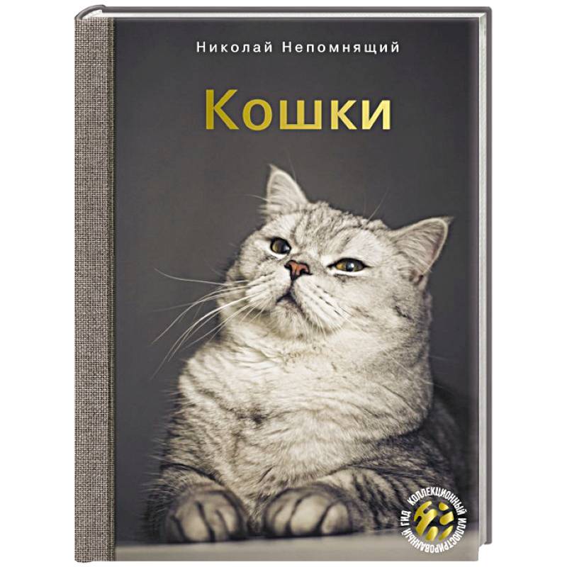 Кошки Кошки