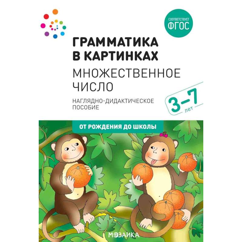 Грамматика в картинках. Множественное число