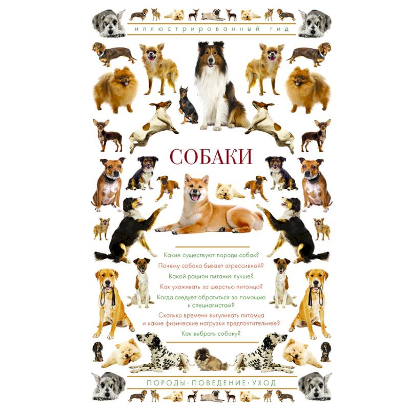 Собаки. Иллюстрированный гид Собаки. Иллюстрированный гид