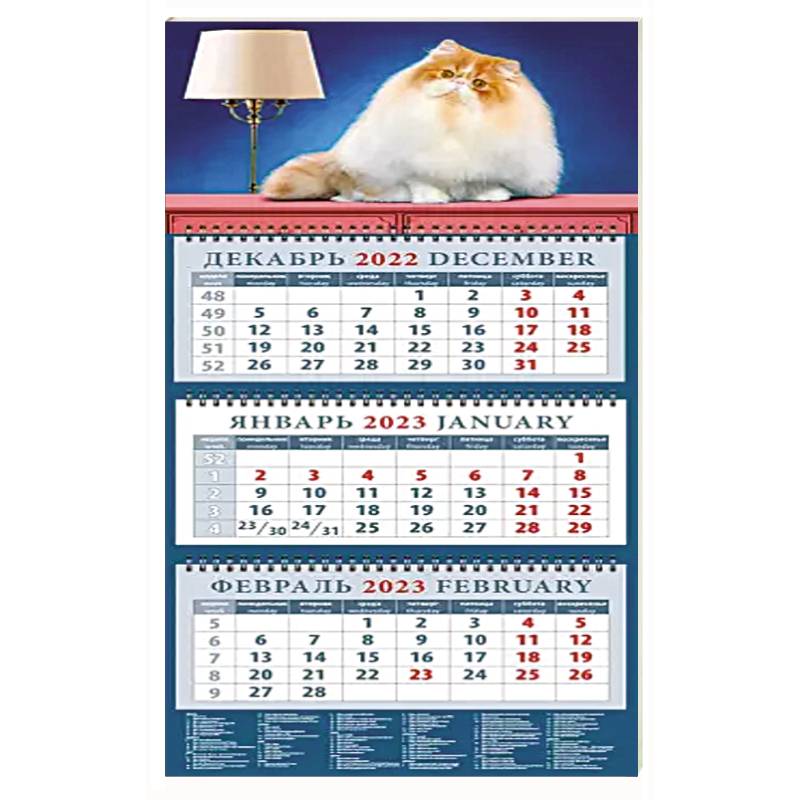 Календарь на 2023 год. Год кота. Пушистый красавчик
