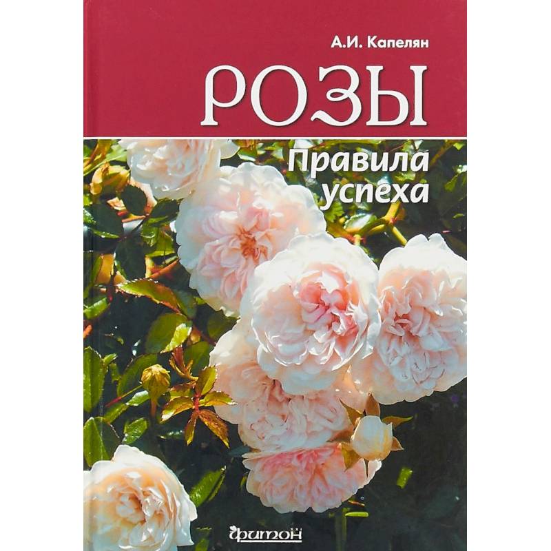 Розы. Правила успеха Розы. Правила успеха