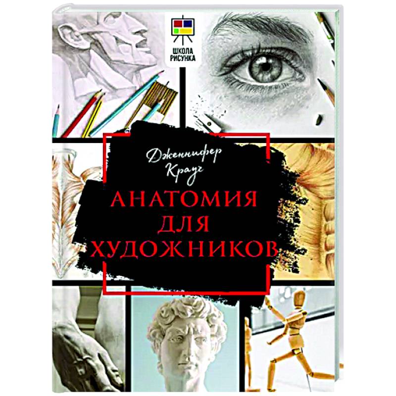 Анатомия для художников Анатомия для художников