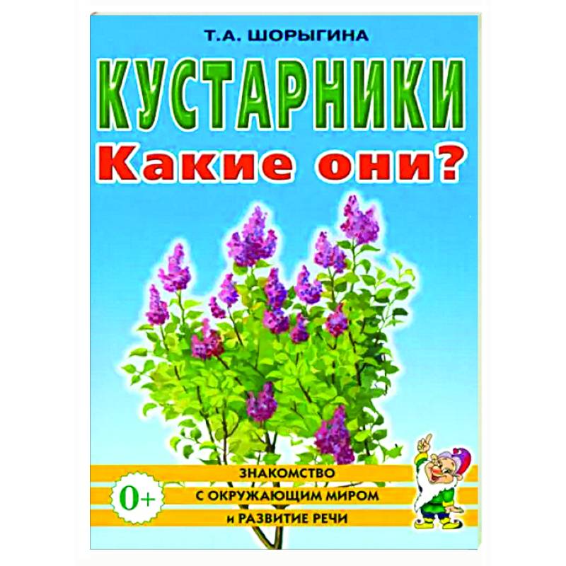 Кустарники. Какие они?
