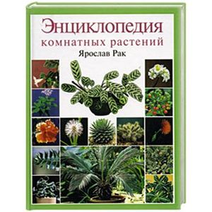 Энциклопедия комнатных растений Энциклопедия комнатных растений