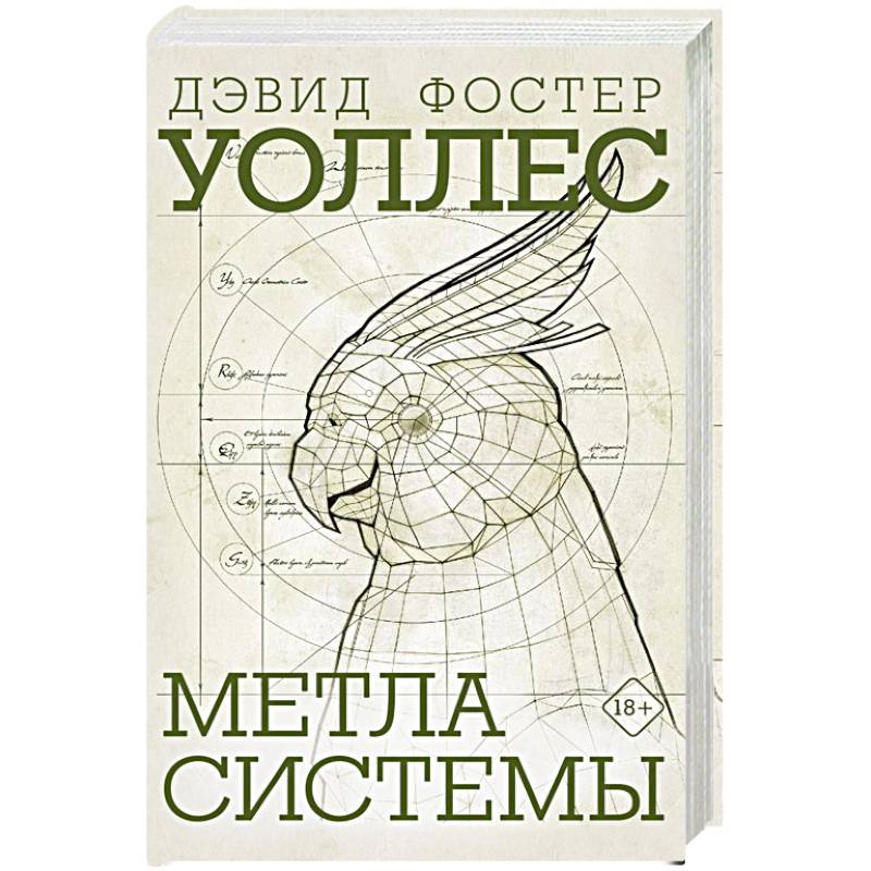 Метла системы Метла системы