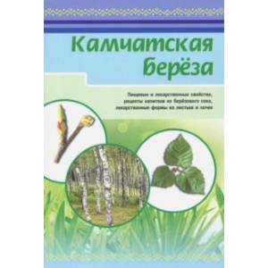 Камчатская береза Камчатская береза