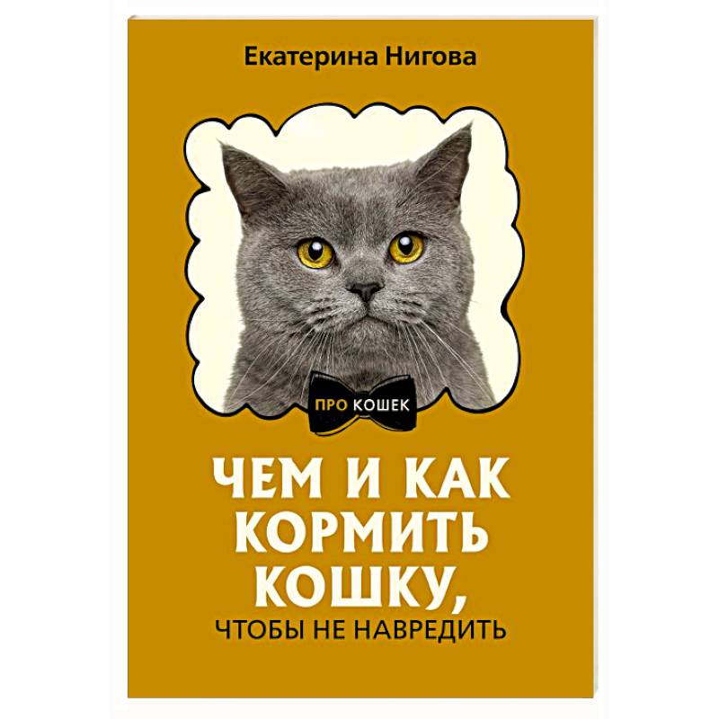 Чем и как кормить кошку, чтобы не навредить Чем и как кормить кошку, чтобы не навредить