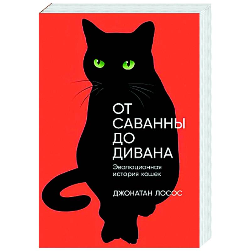 От саванны до дивана: Эволюционная история кошек От саванны до дивана: Эволюционная история кошек