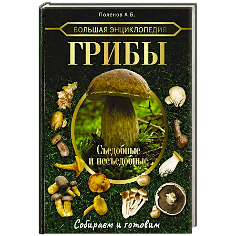Большая энциклопедия. Грибы. Съедобные и несъедобные. Собираем и готовим Большая энциклопедия. Грибы. Съедобные и несъедобные. Собираем и готовим
