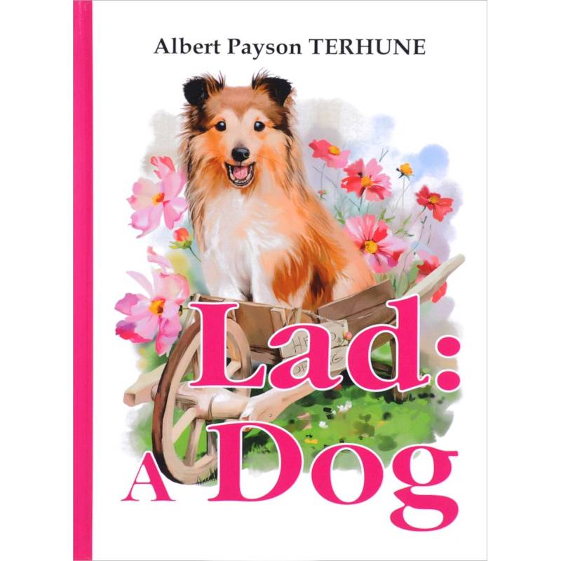 Lad. A Dog Lad. A Dog