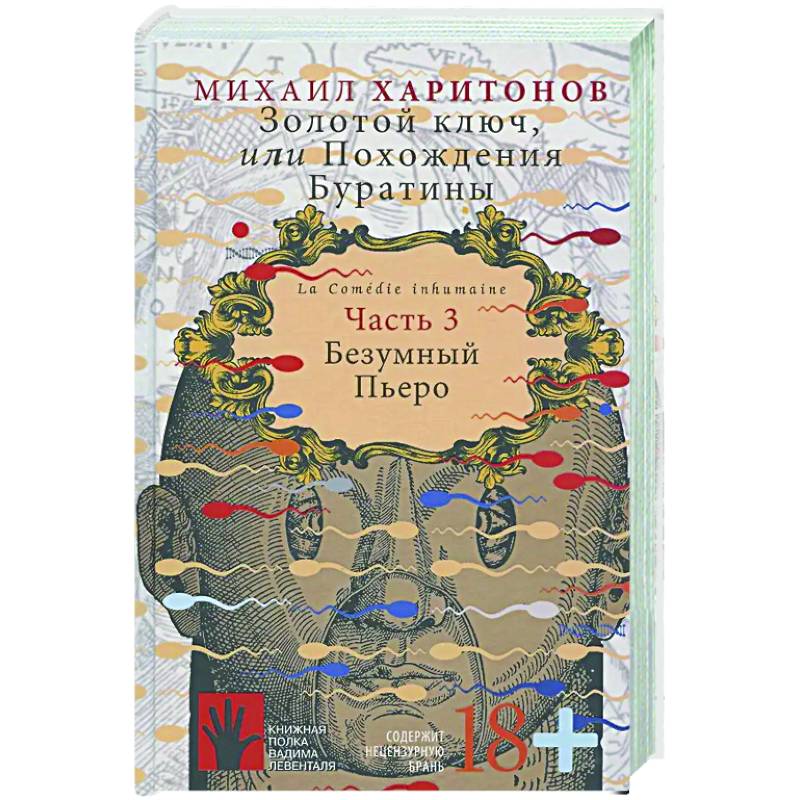 Золотой ключ, или Похождения Буратины. Книга 3 Золотой ключ, или Похождения Буратины. Книга 3