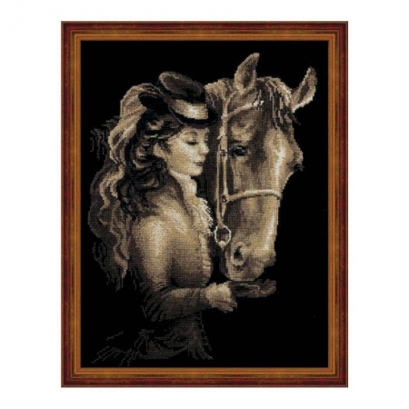 Обучение игре на фортепиано, книга Набор для вышивания крестиком 'Амазонка', 40x30 см купить по скидке