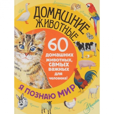 Книги, книга Домашние животные. 60 домашних животных, самых важных для человека купить по скидке