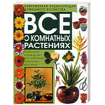 Все о комнатных растениях Все о комнатных растениях