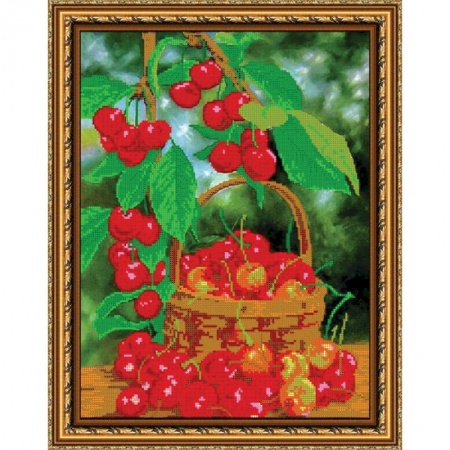 Биологические науки. Анатомия, книга «Светлица» набор для вышивания бисером №373 «Вишенки» бисер Чехия 30x38см купить по скидке