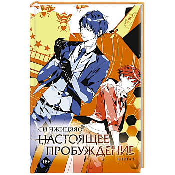 Настоящее пробуждение. Real Awakening. Книга 3 Настоящее пробуждение. Real Awakening. Книга 3
