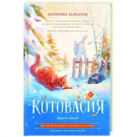 Сказки отечественных писателей, книга Котовасия. Дорога домой купить по скидке