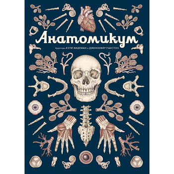 Анатомикум. Энциклопедия для детей