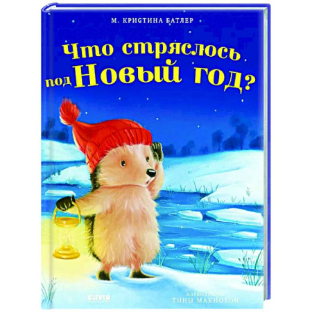Приключения. Детективы, книга Что стряслось под Новый год? купить по скидке
