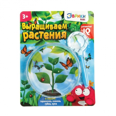 Обучение игре на фортепиано, книга Набор для опытов «Выращиваем растение»: лупа, семена, тарелка, губка купить по скидке