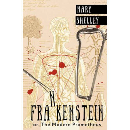 Чтение на английском языке, книга Frankenstein or, The Modern Prometheus купить по скидке