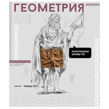 Тетрадь предметная Яркие детали. Геометрия, 48 листов, клетка