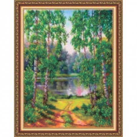 Биологические науки. Анатомия, книга «Светлица» набор для вышивания бисером №110 «Краски лета» бисер Чехия 38x48 см купить по скидке