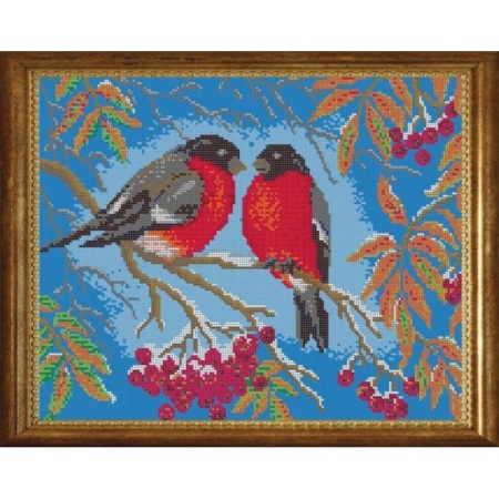 Биологические науки. Анатомия, книга ВЛ-047П 'Снегири' 38x30 см набор на атласе для вышивания чешским бисером 'Вышивочка' купить по скидке