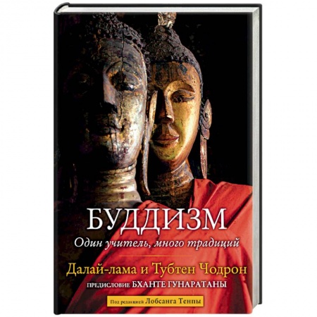 Буддизм. Общие представления, книга Буддизм. Один учитель, много традиций купить по скидке