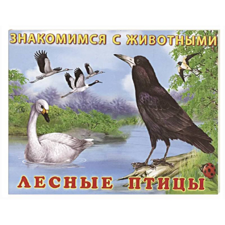 Животный и растительный мир, книга Лесные птицы купить по скидке
