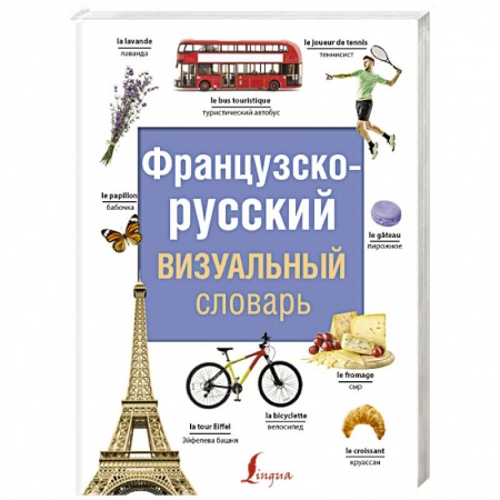 Словари, книга Французско-русский визуальный словарь купить по скидке