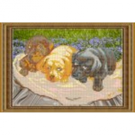 Биологические науки. Анатомия, книга «Светлица» набор для вышивания бисером №060 «Три щеночка» бисер Чехия 34x22,8 см купить по скидке