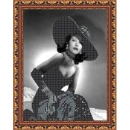 Биологические науки. Анатомия, книга Набор для вышивания бисером «Сеньорита» 19x22 см купить по скидке