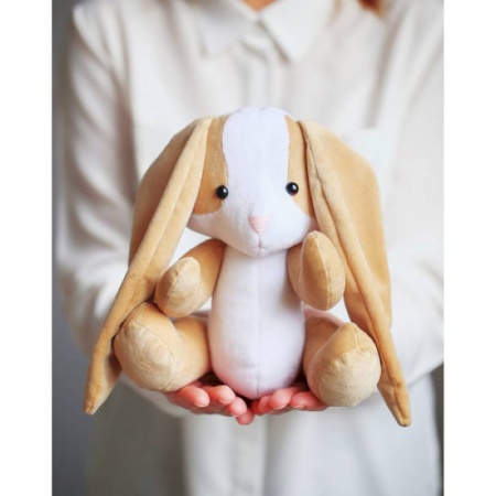 Литературоведение. Фольклор, книга Мягкая игрушка «Плюшевый зайка Боня», набор для шитья, 18,5 x 22,8 x 2,5 см купить по скидке