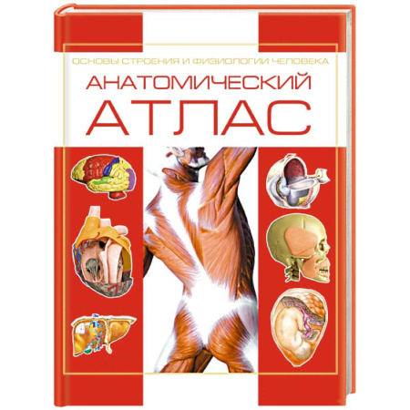 Анатомия и физиология человека, книга Анатомический атлас. Основы строения и физиологии человека купить по скидке