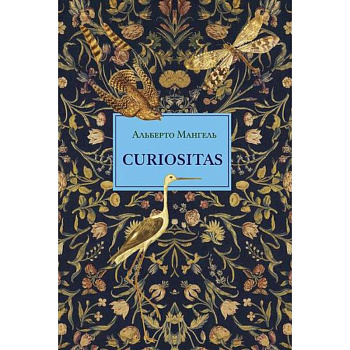 Curiositas. Любопытство