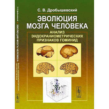 Эволюция мозга человека. Анализ эндокраниометрических признаков гоминид Эволюция мозга человека. Анализ эндокраниометрических признаков гоминид