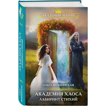 Академия хаоса. Лабиринт стихий Академия хаоса. Лабиринт стихий