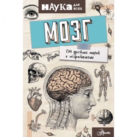 Психология личности, книга Мозг. От древних мифов к нейробиологии купить по скидке