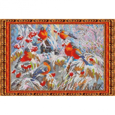 Биологические науки. Анатомия, книга «Светлица» набор для вышивания бисером №123 «Снегири» бисер Чехия 39,7x33,2 см купить по скидке