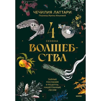 4 сезона волшебства. Тайные послания и рецепты, нашептанные лесом 4 сезона волшебства. Тайные послания и рецепты, нашептанные лесом