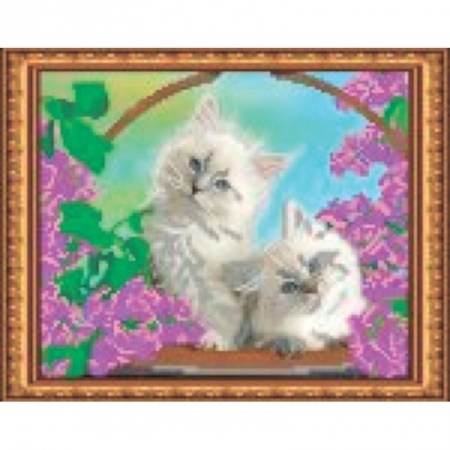 Биологические науки. Анатомия, книга Набор для вышивания бисером «Котята» 24x19 см купить по скидке