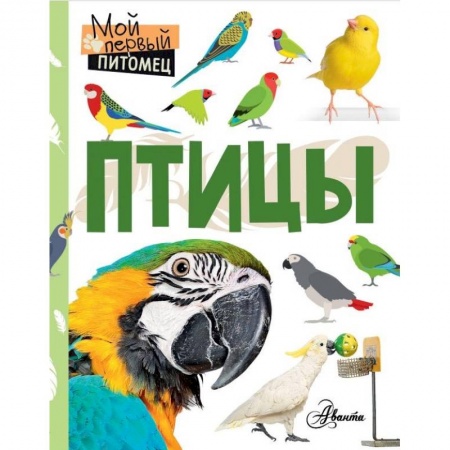 Животный и растительный мир, книга Птицы купить по скидке