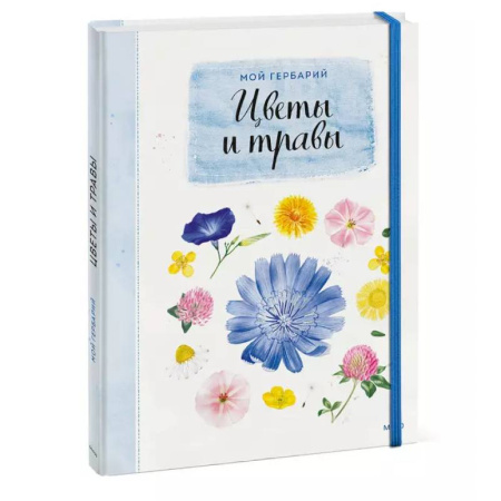 Поделки, мастерилки, книга Мой гербарий. Цветы и травы купить по скидке