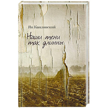 Наши тени так длинны. Стихотворения и переводы Наши тени так длинны. Стихотворения и переводы