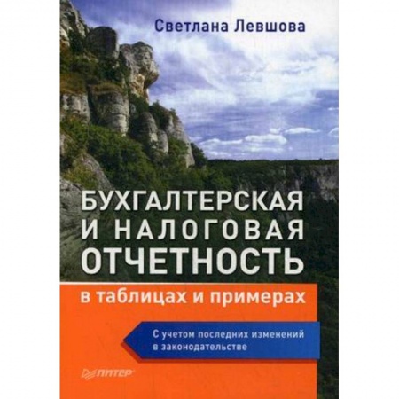 Налогообложение, книга Бухгалтерская и налоговая отчетность в таблицах и примерах. С учетом последних изменений купить по скидке